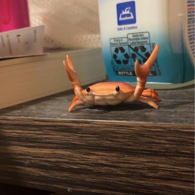 🦀 Cute crab-shaped pen holder
