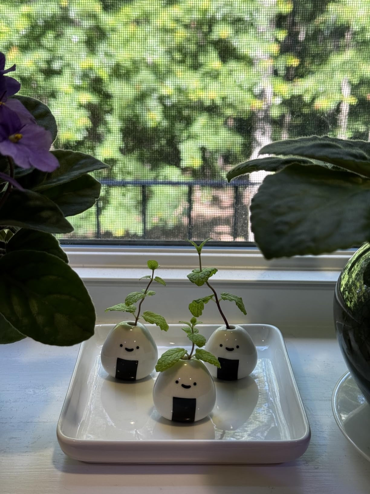 Mini Cute Plant Buddy Vase